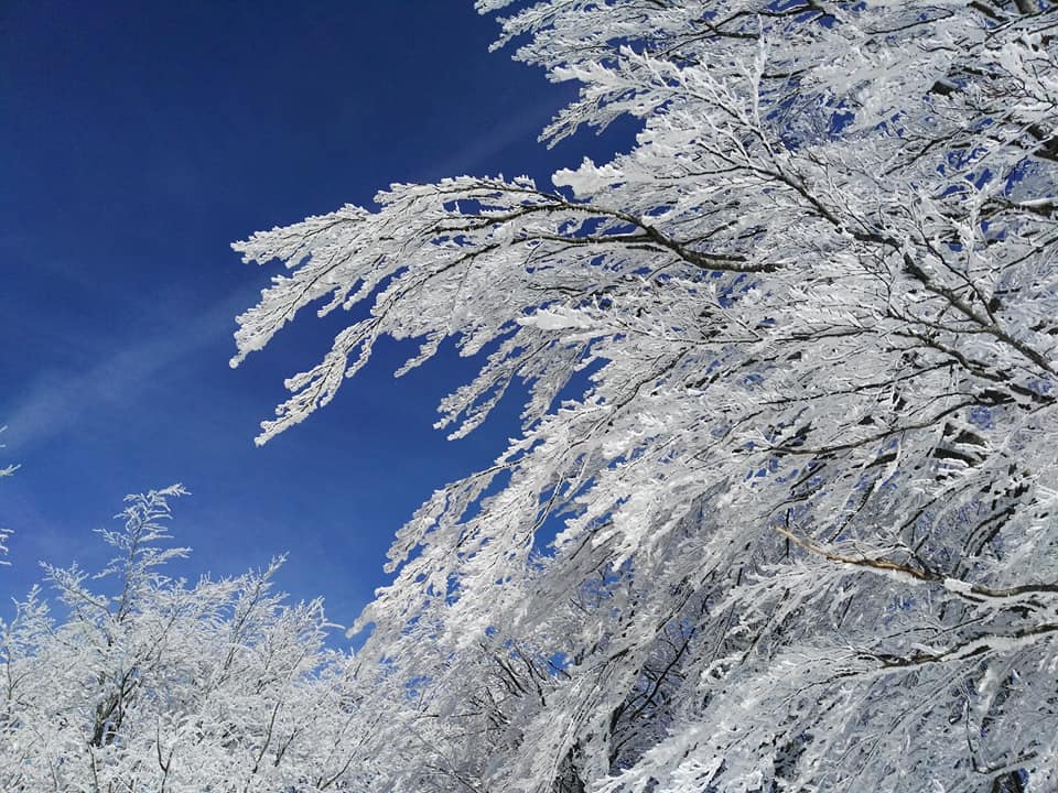 Il fenomeno della galaverna dove, come e perché si forma? Centro Meteo Emilia Romagna Il fenomeno della galaverna dove, come e perché si forma? Centro Meteo Emilia Romagna
